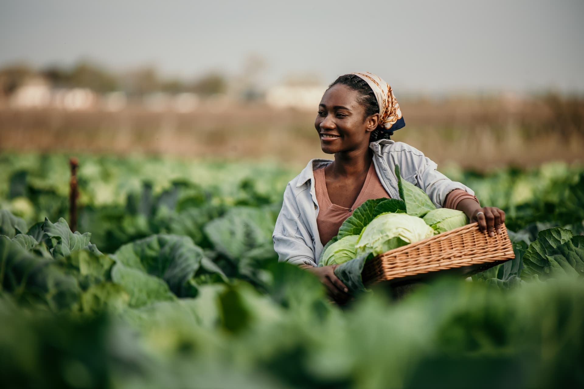 Agriculture & Agribusiness